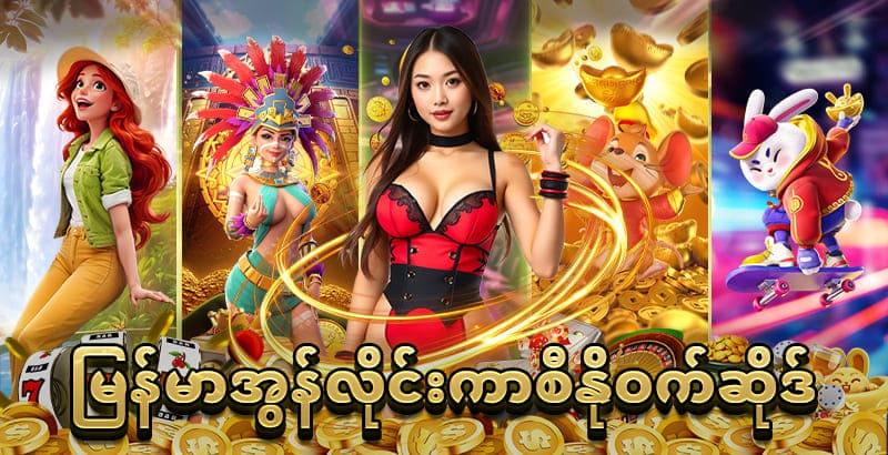 shwe666 login