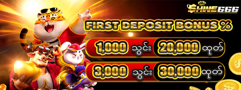 shwe666 စာရင်းသွင်းနည်း